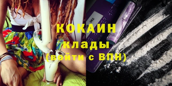 spice Пестово