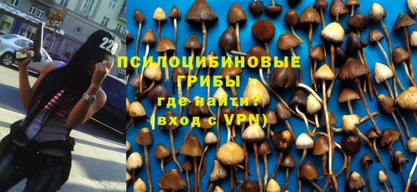 мескалин Абинск